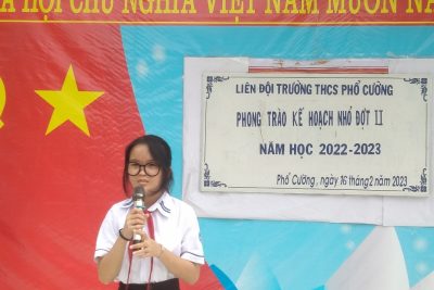 KẾ HOẠCH NHỎ CỦA LIÊN ĐỘI TRƯỜNG THCS PHỔ CƯỜNG